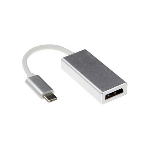 Skill Tech USB C to DisplayPort Converter Silver 0.2 Meter