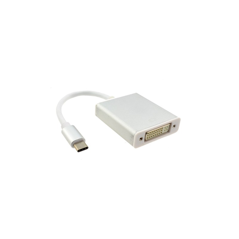 Skill Tech USB C to DVI I 24 plus 5 Converter Silver 0.2 Meter