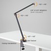 Skill Tech MDS16-1L Microphone Table Stand With RGB Light