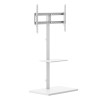 Skill Tech SH FS53 46T Prism Minimalism TV Floor Stand