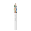 كابل BELCAB B17965ENH CAT6 مكون من 4 أزواج مقاس 23AWG غير محمي