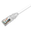 CommScope LSZH Patch Cord CAT6 24AWG